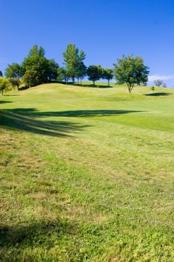 Golf alanı