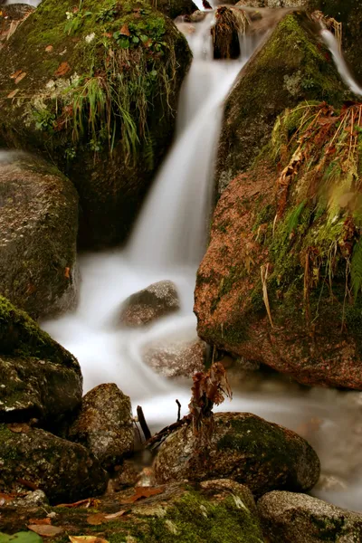 Flusso — Foto Stock