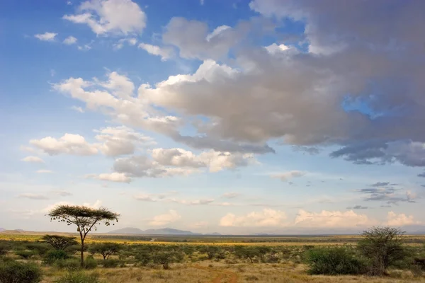 Afrikaanse landschap — Stockfoto