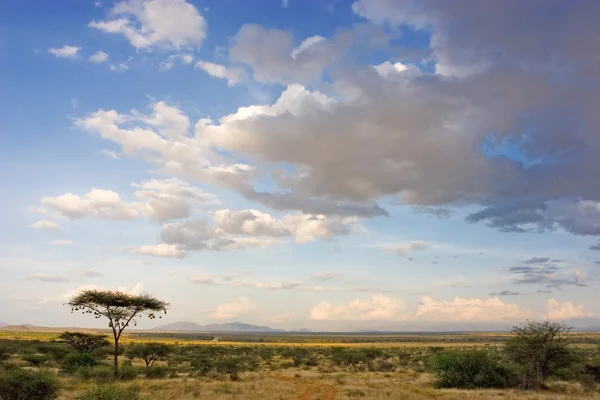 Afrikanische Landschaft — Stockfoto