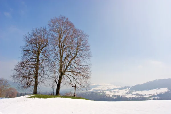 Two trees and a cross — Stock Photo, Image