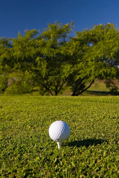 Golfový míček na tee — Stock fotografie