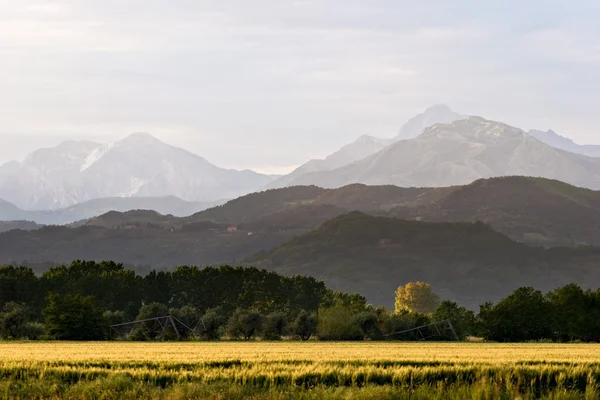 Field and Mountains — Stock Photo, Image