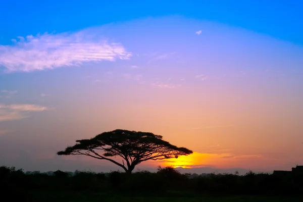 African sunrise — Stockfoto