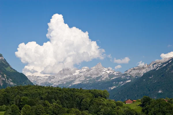 Jarní krajina — Stock fotografie