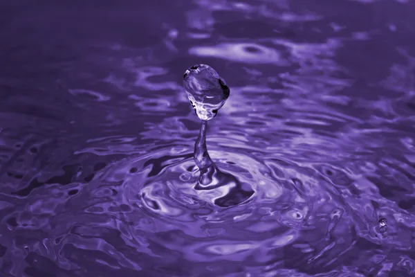 Gota púrpura —  Fotos de Stock