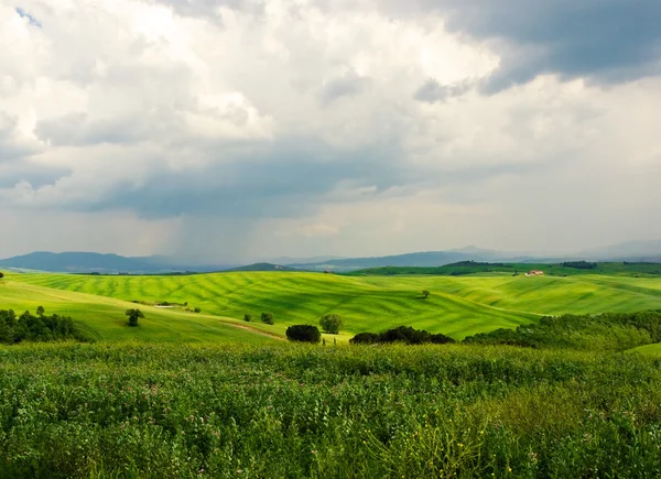 Paisagem típica toscana — Fotografia de Stock