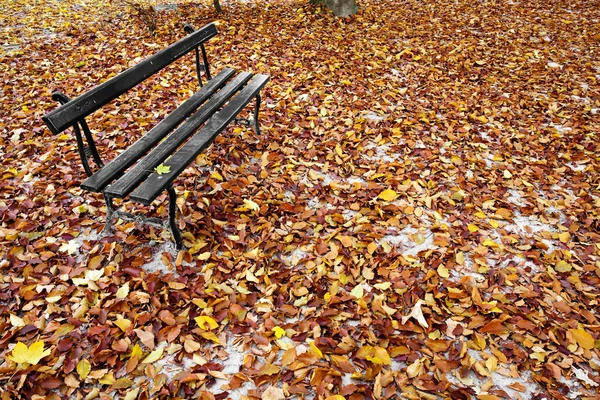 Bench in the Park — Stock Photo, Image