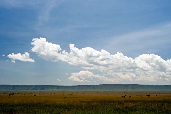 Afrykański krajobraz — Zdjęcie stockowe