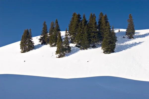 Vinter scen — Stockfoto