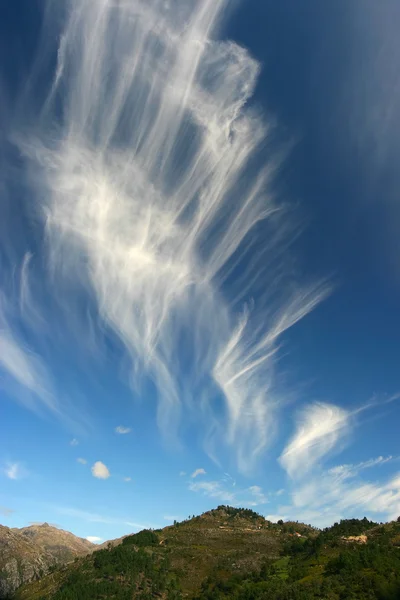 Drömmande himmel — Stockfoto