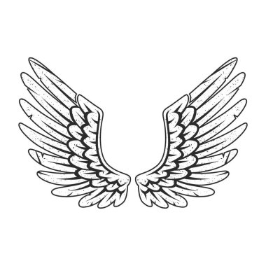 Beyaz arka planda izole edilmiş siyah beyaz benekli bir meleğin ya da kuşun kanatları. Vektör illüstrasyonu