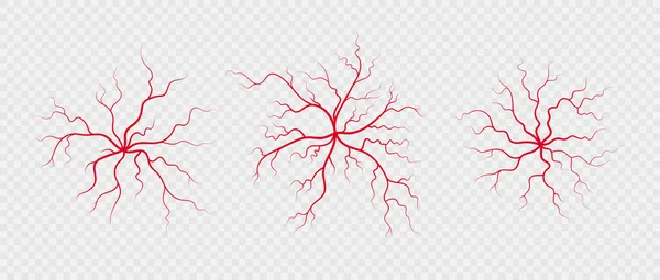 Definir veias e artérias humanas. Vermelho ramificando vasos sanguíneos em forma de aranha e capilares. Ilustração vetorial isolada sobre fundo transparente — Vetor de Stock
