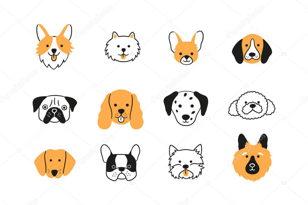 Faces of different breeds dogs set. Corgi, Beagle, Spitz Chihuahua, Terrier, Spaniel, Poodle, Dalmatian. Collection of doodle dog heads. Hand drawn vector illustration isolated on white background