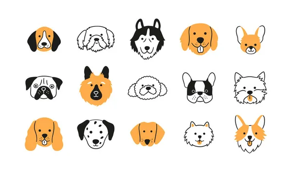 Visages de chiens de races différentes ensemble. Corgi, Beagle, Spitz Chihuahua, Terrier, Récupérateur, Espagnol, Caniche. Collection de têtes de chien doodle. Illustration vectorielle dessinée à la main isolée sur fond blanc — Image vectorielle