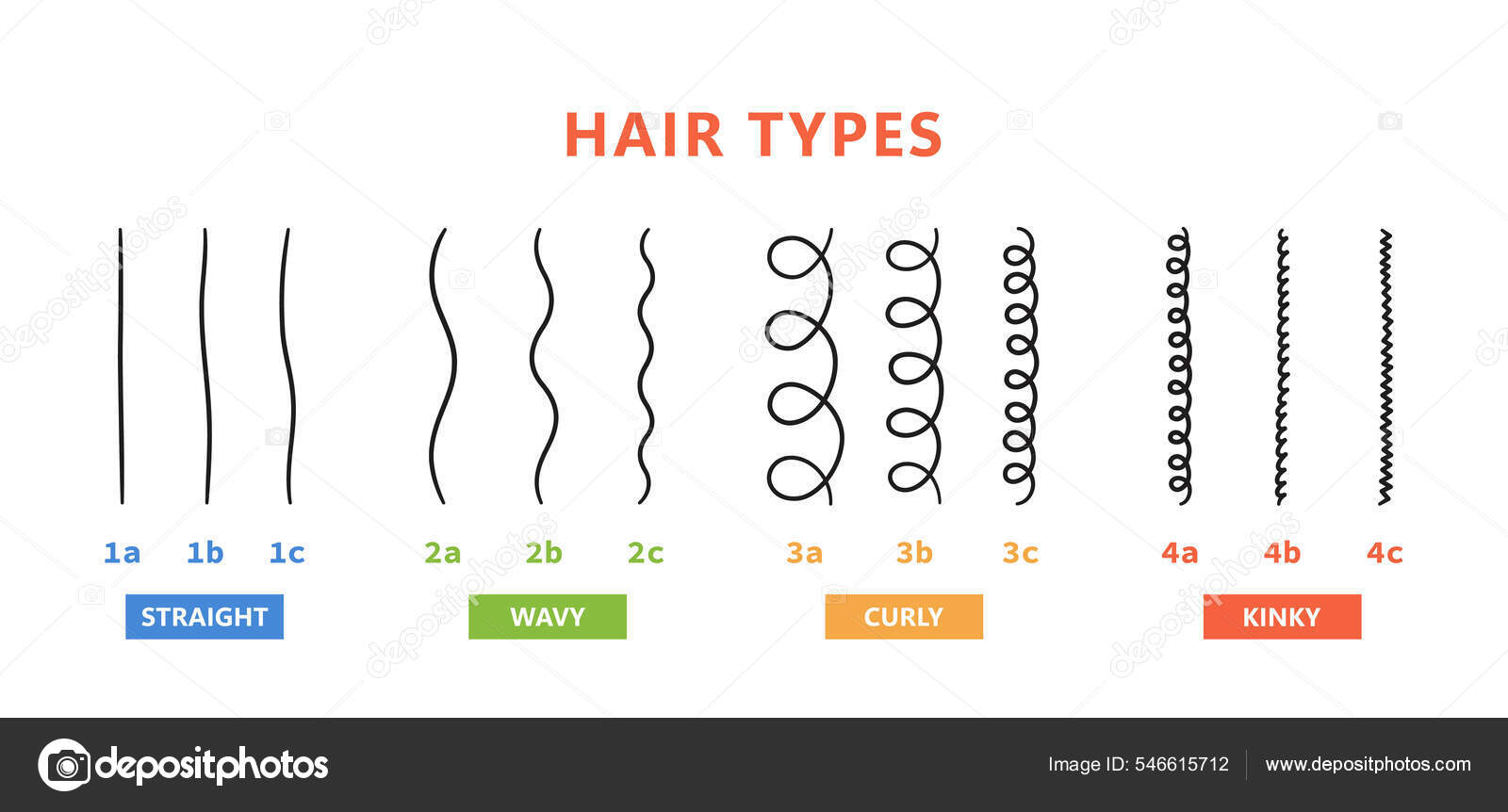 Klassificering af hårtyper - lige, bølget, krøllet, kinky. Ordningen med  forskellige typer af hår. Krøllet pige metode. Vektorillustration på hvid  baggrund Stockvektor af ©Elena Pimukova 546615712, image size:1600x862