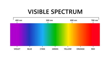 Visible light spectrum. Electromagnetic visible color spectrum for human eye. Vector gradient diagram with wavelength and colors. Educational illustration on white background. clipart