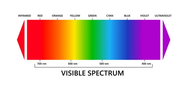 Widzialne Widmo Światła Podczerwone Ultrafioletowe Elektromagnetyczne Widzialne Spektrum Kolorów Dla — Wektor stockowy