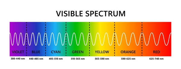 Espectro Luz Visível Comprimento Onda Luz Óptica Espectro Cores Visível —  Vetores de Stock