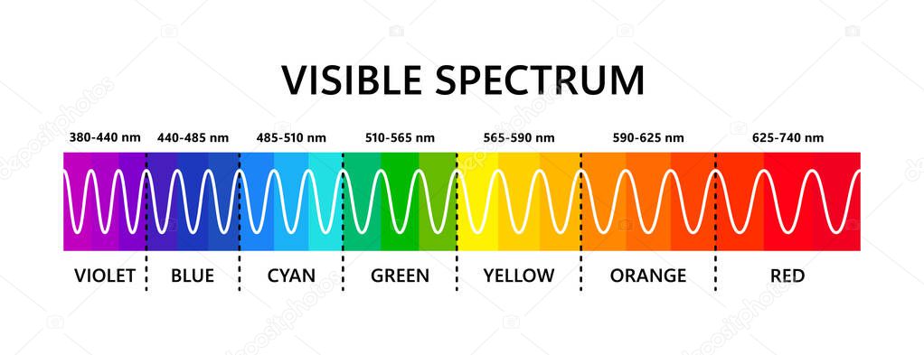 Visible light spectrum. Optical light wavelength. Electromagnetic visible color spectrum for human eye. Vector gradient diagram with wavelength and colors. Educational illustration on white background