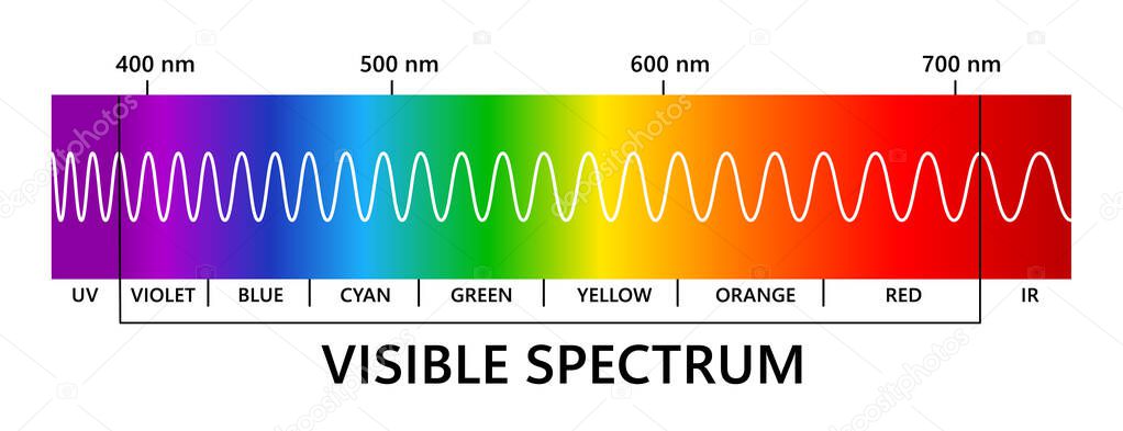 Visible light spectrum, infared and ultraviolet. Light wavelength. Electromagnetic visible color spectrum for human eye. Gradient diagram. Educational vector illustration on white background.