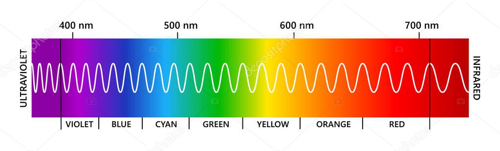 Visible light spectrum, infared and ultraviolet. Electromagnetic visible color spectrum for human eye. Vector gradient diagram with wavelength and colors. Educational illustration on white background.