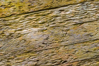 Eski ahşap doku / ahşap doku / soyut doğal arka plan yüzeyi eski doğal desen