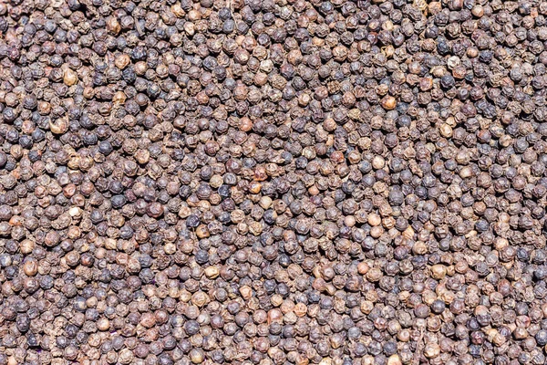 Black Peppercorns,Peppercorn Varieties. Milled black pepper.and Black pepper grains as background close up,texture,spice medicinal properties.