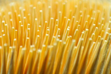 Close up many of bamboo toothpick
