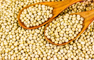 Ahşap arka planda soya fasulyesi dolu soya fasulyesi çerçeveyi doldurur, seçici odak, doku, soya sütü, soya yağı