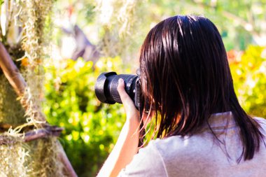 Güneşli bir günde, gün batımında, kadın fotoğrafçı, en iyi objektifle açık hava fotoğrafları çekiyor.