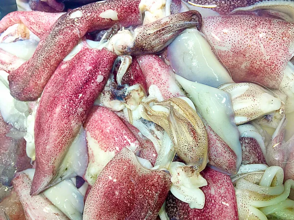 Taze deniz ürünleri, pazarda taze mürekkep balığı, Bigfin resifi mürekkep balığı, yumuşak mürekkep balığı, istiflenmiş mürekkep balığı, çiğ balık arka planı.