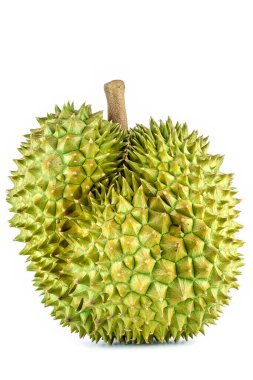 Durian, Tayland 'da ünlü meyvelerin kralıdır. Durian meyvesi, beyaz arka planda izole edilmiştir. Durian, büyük boyutu, güçlü kokusu ve dikenle kaplı kabuğuyla ayırt edicidir..
