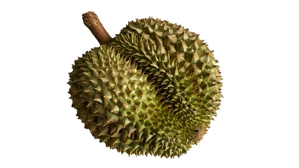 Durian Odizolowany Białego Tła Durians Jest Królem Owoców Azjatyckich Owoców — Zdjęcie stockowe