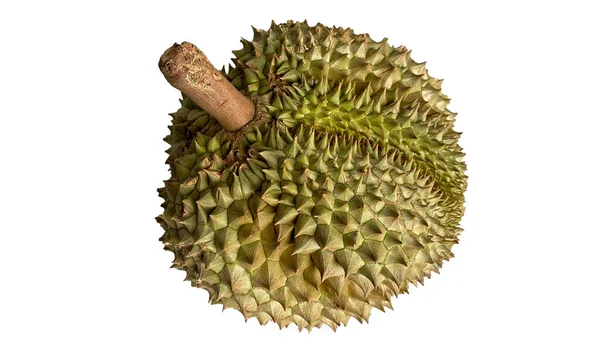 Durian Odizolowany Białego Tła Durians Jest Królem Owoców Azjatyckich Owoców — Zdjęcie stockowe