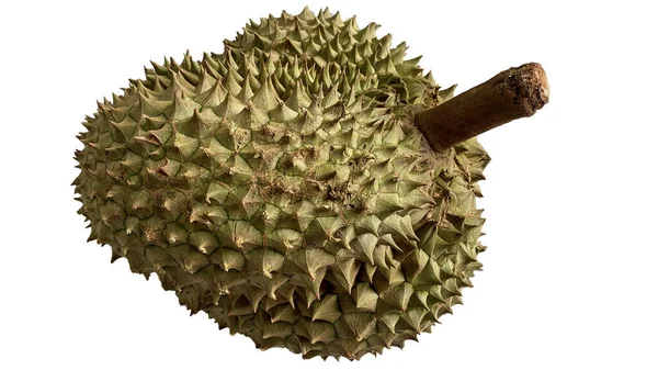 Durian Odizolowany Białego Tła Durians Jest Królem Owoców Azjatyckich Owoców — Zdjęcie stockowe