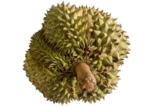 Durian Geïsoleerd Van Witte Achtergrond Durianen Koning Van Vruchten Aziatische — Stockfoto