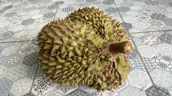 Owoce Duriana Dojrzały Durian Smaczny Durian Który Był Durian Naturalnym — Zdjęcie stockowe