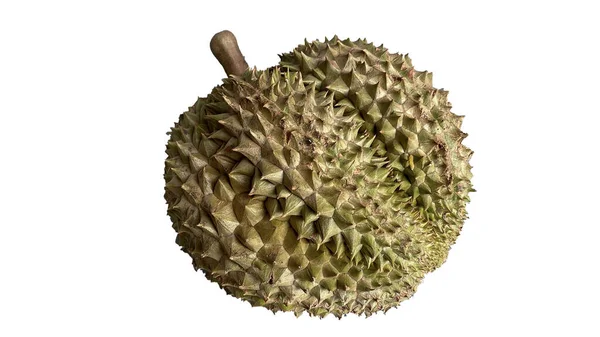 Durian Terisolasi Dari Latar Belakang Putih Durians Adalah Raja Buah — Stok Foto