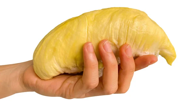 Mão Segurando Fatia Durian Isolado Partir Fundo Branco Durianos Rei — Fotografia de Stock