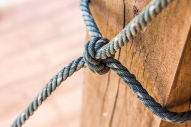 Erkek eller bir halat ağacı bağlar, halat halatı, güven, takım çalışması veya işbirliğinin sembolü olarak doğa arka planıyla birbirine bağlanır..