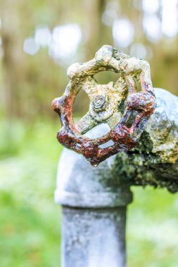 A close up of a rusted valve connects to water supply with metal pipe,Industrial metal water tab,seen in a garden, for watering the plants