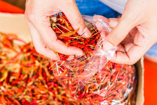 Hot and spicy Red Chilli on hand,Dried red chili,Pepper,Chillies as background for sale in a local food market,thai food ,close up,texture,spice medicinal properties.