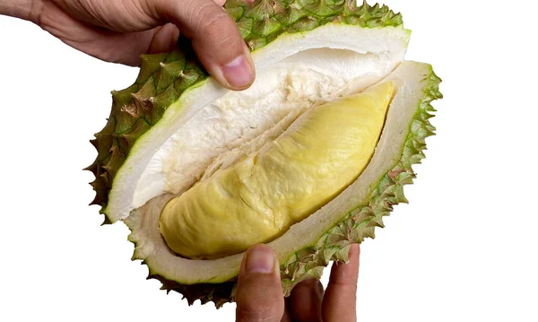 Tutup Tangan Wanita Asia Memegang Buah Durian Ripe Durian Durian — Stok Foto