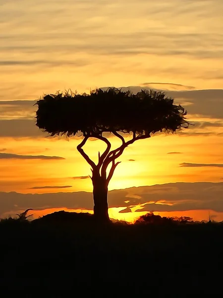 Boscia tree against the Kenyan sunset (watercolour) — Stock Photo, Image