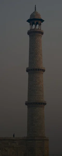 Homem fotografando minarete Taj — Fotografia de Stock