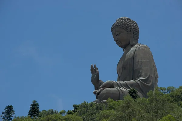 Grande Buda que parece sentar-se entre as árvores — Fotografia de Stock