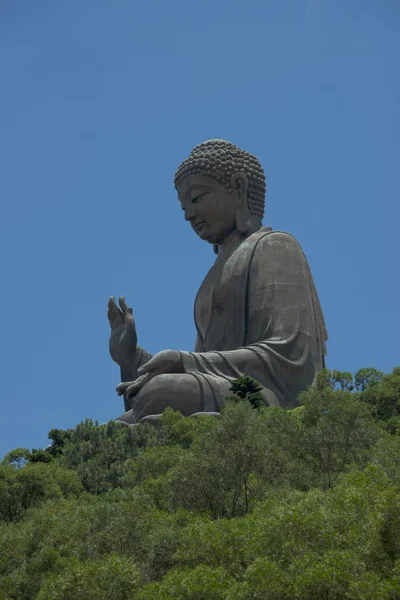 나무 들 사이 큰 불상의 3 분기 보기 — 스톡 사진