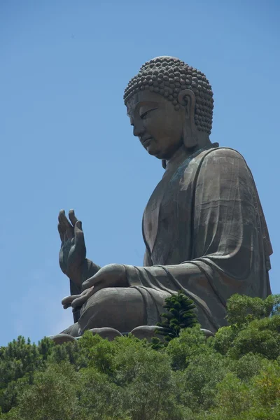 Close-up de grande estátua de Buda em perfil — Fotografia de Stock