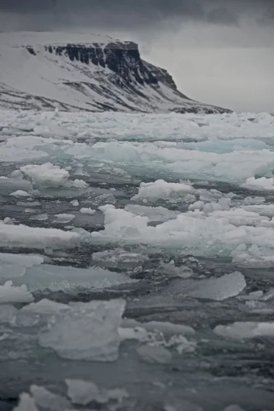 Пакуйте лід зі сніжним узбережжям на відстані — стокове фото